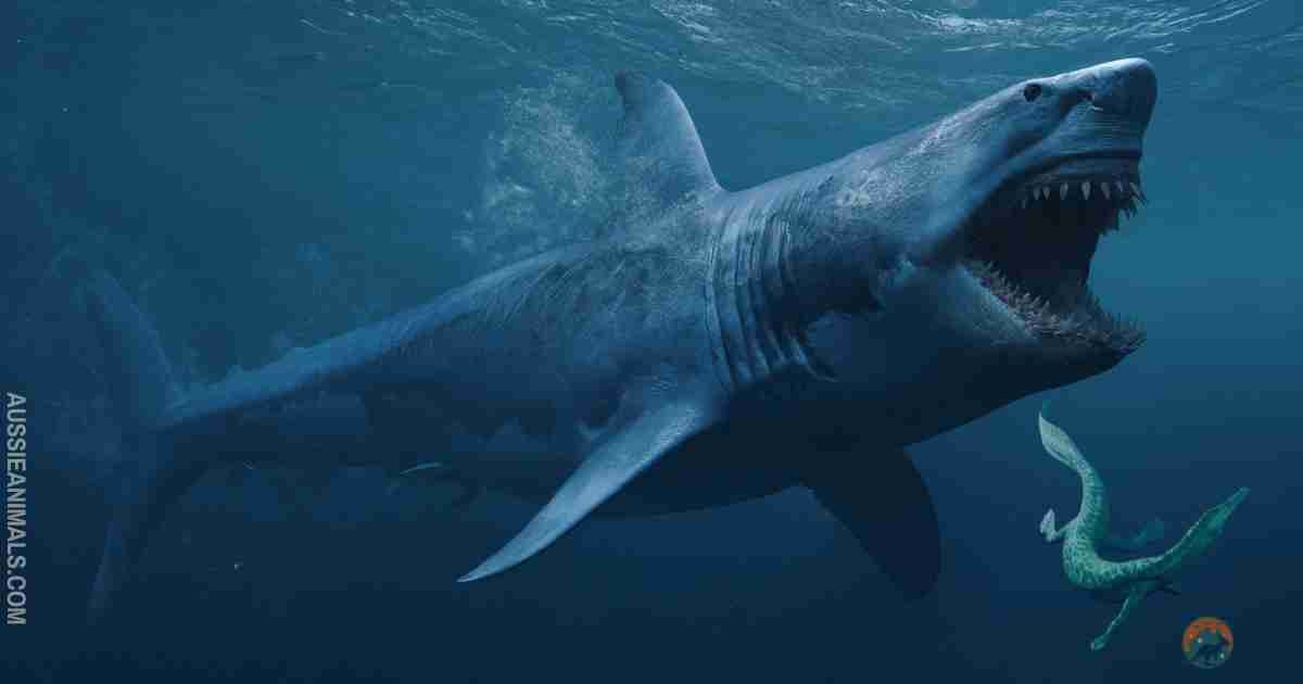Sharks: Complete Deep Guide – Ancient Evolution, Sensory Systems, Ocean Dominance & Survival Biology